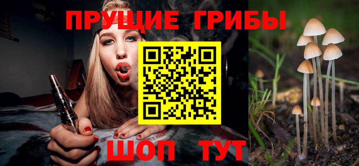 Муравленко  Псилоцибиновые грибы MAGIC MUSHROOMS  Псилоцибиновые грибы Psilocybine cubensis  Вход с VPN 